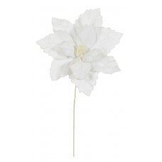 Χριστουγεννιάτικο Λουλούδι Αλεξανδρινό Λευκό (40cm)